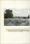 EP - Ewidencja parkowa, skan nr 73