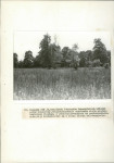 EP - Ewidencja parkowa, skan nr 74