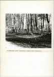 EP - Ewidencja parkowa, skan nr 33