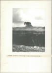 EP - Ewidencja parkowa, skan nr 35