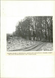 EP - Ewidencja parkowa, skan nr 28