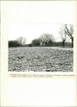 EP - Ewidencja parkowa, skan nr 29