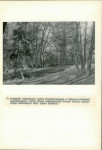 Ewidencja parkowa, skan nr 51