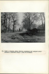 Ewidencja parkowa, skan nr 63