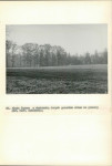 Ewidencja parkowa, skan nr 64