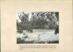 EP - Ewidencja parkowa, skan nr 22