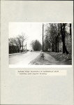 Ewidencja parkowa, skan nr 38