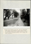 Ewidencja parkowa, skan nr 39