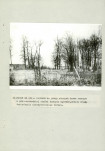 Ewidencja parkowa, skan nr 46