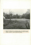 EP - Ewidencja parkowa, skan nr 38