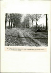 EP - Ewidencja parkowa, skan nr 44