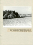 EP - Ewidencja parkowa, skan nr 56