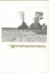 EP - Ewidencja parkowa, skan nr 29