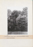 EP - Ewidencja parkowa, skan nr 8