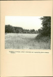 EP - Ewidencja parkowa, skan nr 28