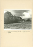 EP - Ewidencja parkowa, skan nr 17