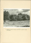 EP - Ewidencja parkowa, skan nr 22