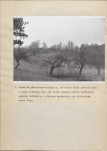 Ewidencja parkowa, skan nr 26