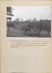 Ewidencja parkowa, skan nr 28