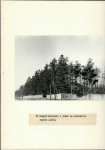 Ewidencja parkowa, skan nr 20