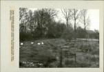 EP - Ewidencja parkowa, skan nr 25