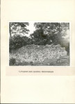 EP - Ewidencja parkowa, skan nr 14
