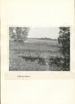 EP - Ewidencja parkowa, skan nr 16