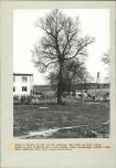 EP - Ewidencja parkowa, skan nr 19