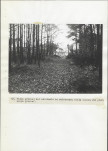 Ewidencja parkowa, skan nr 31