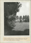 EP - Ewidencja parkowa, skan nr 20