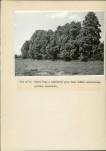 Ewidencja parkowa, skan nr 40