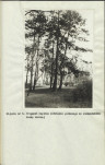 Ewidencja parkowa, skan nr 20
