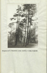 Ewidencja parkowa, skan nr 22