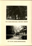 Ewidencja parkowa, skan nr 35