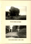 Ewidencja parkowa, skan nr 37