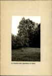EP - Ewidencja parkowa, skan nr 26