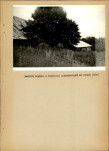 EP - Ewidencja parkowa, skan nr 36