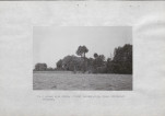 Ewidencja parkowa, skan nr 39