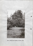 Ewidencja parkowa, skan nr 30