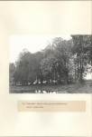 Ewidencja parkowa, skan nr 31