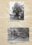 Ewidencja parkowa, skan nr 21