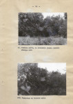 Ewidencja parkowa, skan nr 23