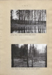 Ewidencja parkowa, skan nr 26