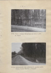 Ewidencja parkowa, skan nr 28