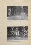 Ewidencja parkowa, skan nr 29