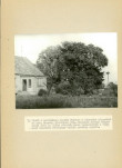 EP - Ewidencja parkowa, skan nr 31