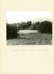 EP - Ewidencja parkowa, skan nr 33