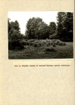 EP - Ewidencja parkowa, skan nr 31