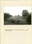 EP - Ewidencja parkowa, skan nr 34