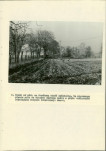 EP - Ewidencja parkowa, skan nr 29